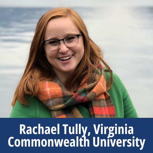 VA SOH Inset Image Small (1)