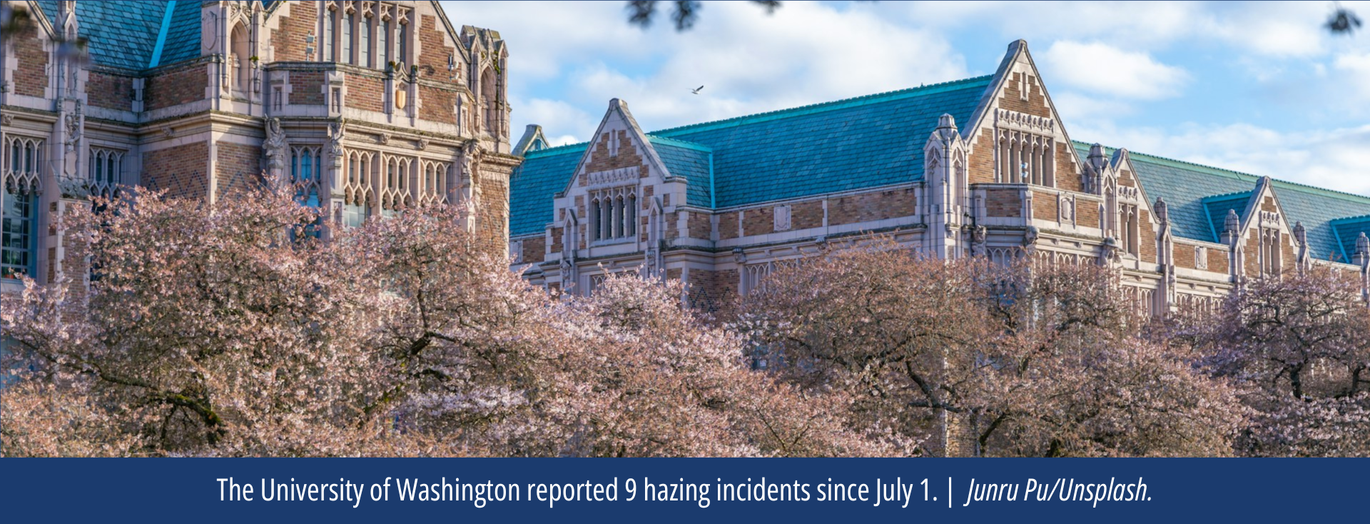A portion of a building on a college campus framed with cherry blossoms.